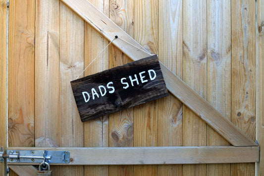 man cave shed ideas