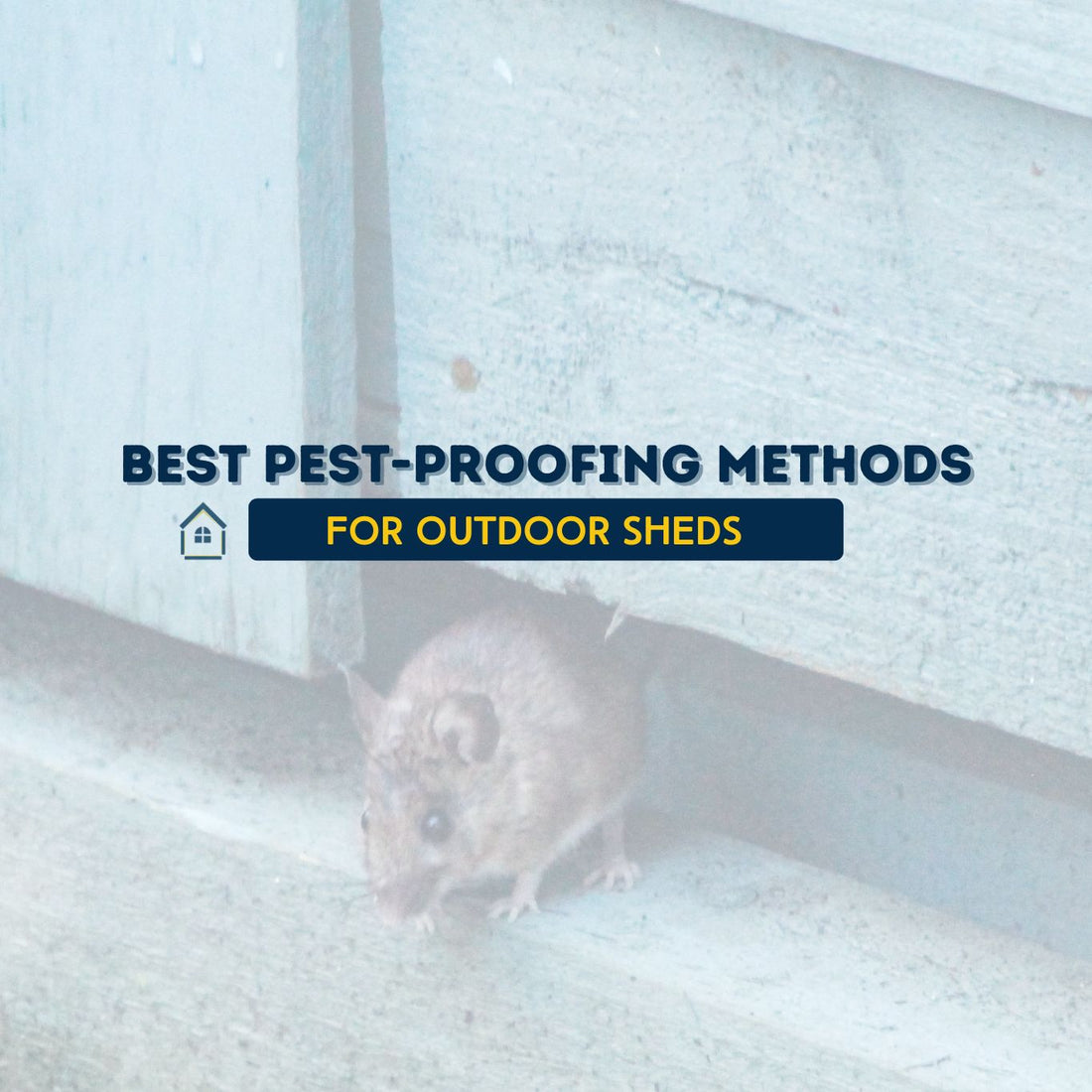 The Best Pest-Proofing Methods for Outdoor Sheds