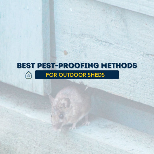 The Best Pest-Proofing Methods for Outdoor Sheds