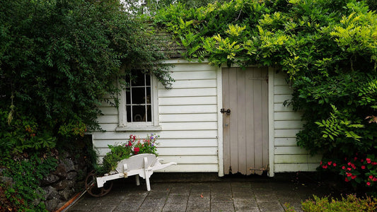 shed ideas