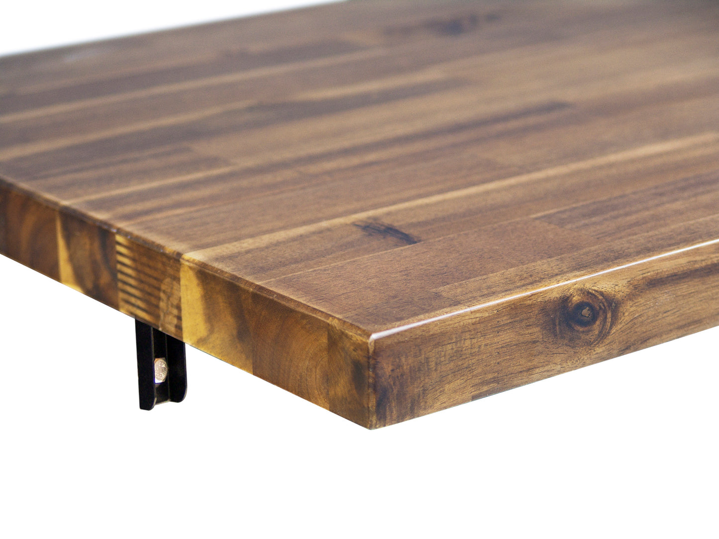 Duramax Spence 48 in. Wall Mounted Folding Table 68032